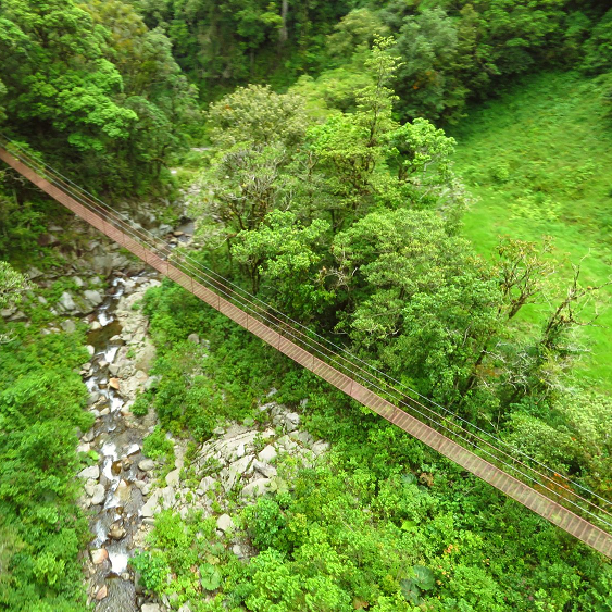 HANGING BRIDGES, panama boquete