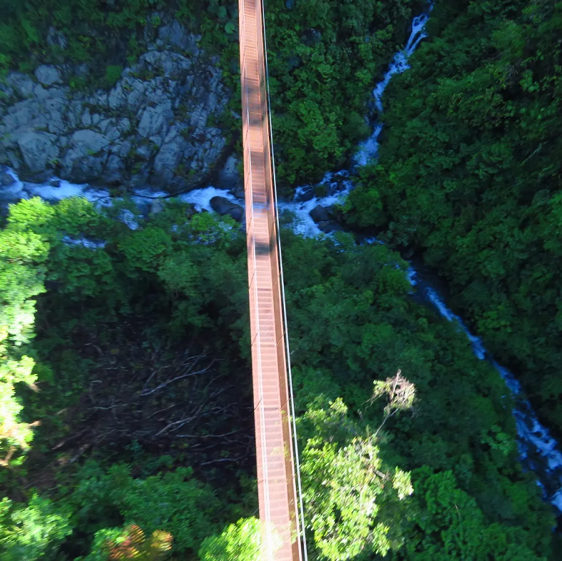 HANGING BRIDGES3 panama boquete