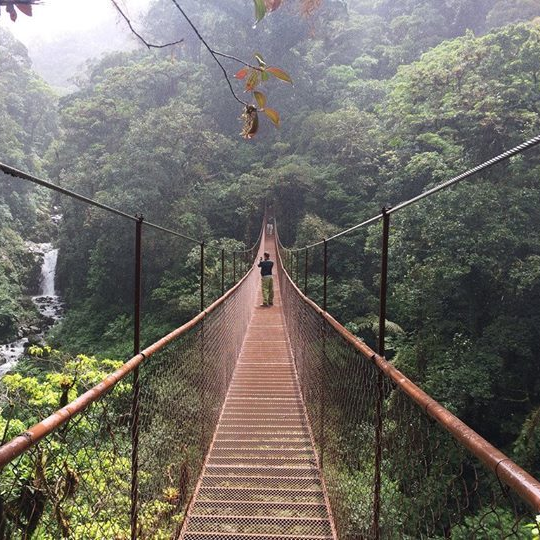 HANGING BRIDGES4 panama boquete