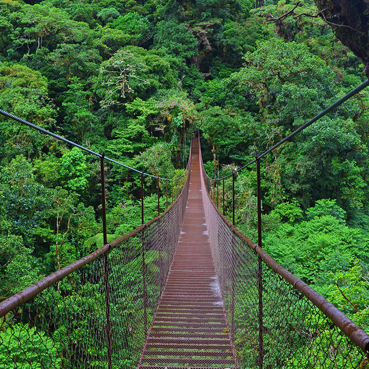 HANGING BRIDGES5 panama boquete