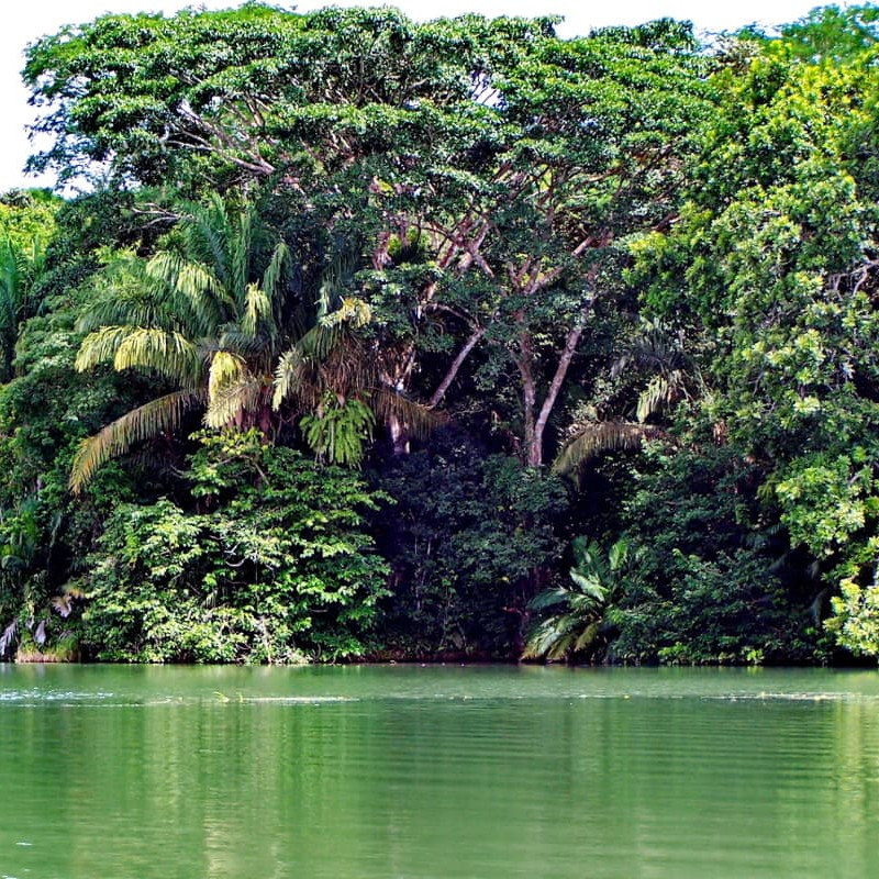 TOUR GATUN LAKE AND WOUNAAN COMMUNITY q