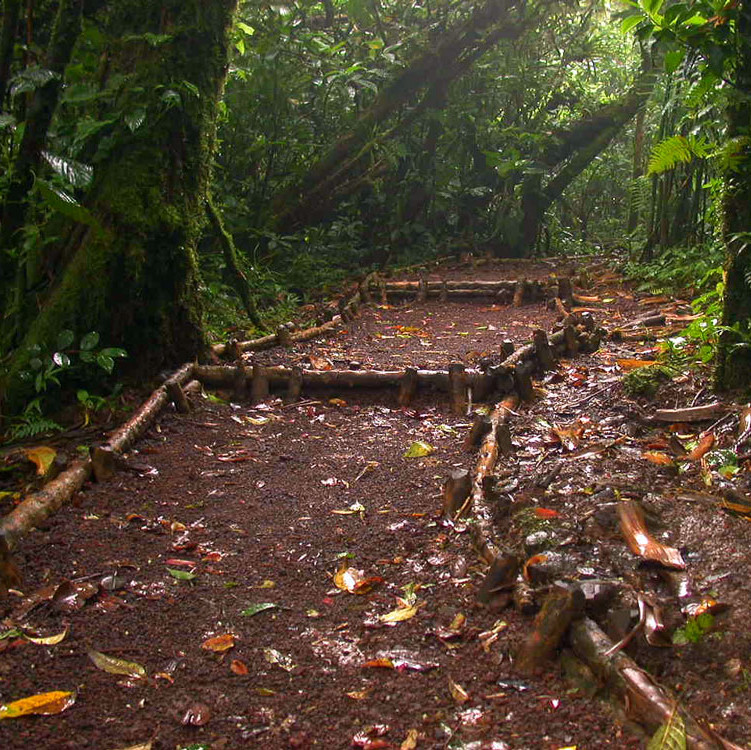 Trekking sul vulcano Mombacho 2