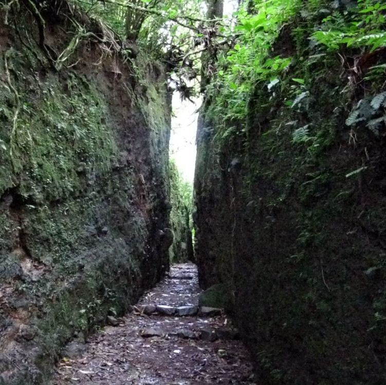 Volcano Mombacho tour