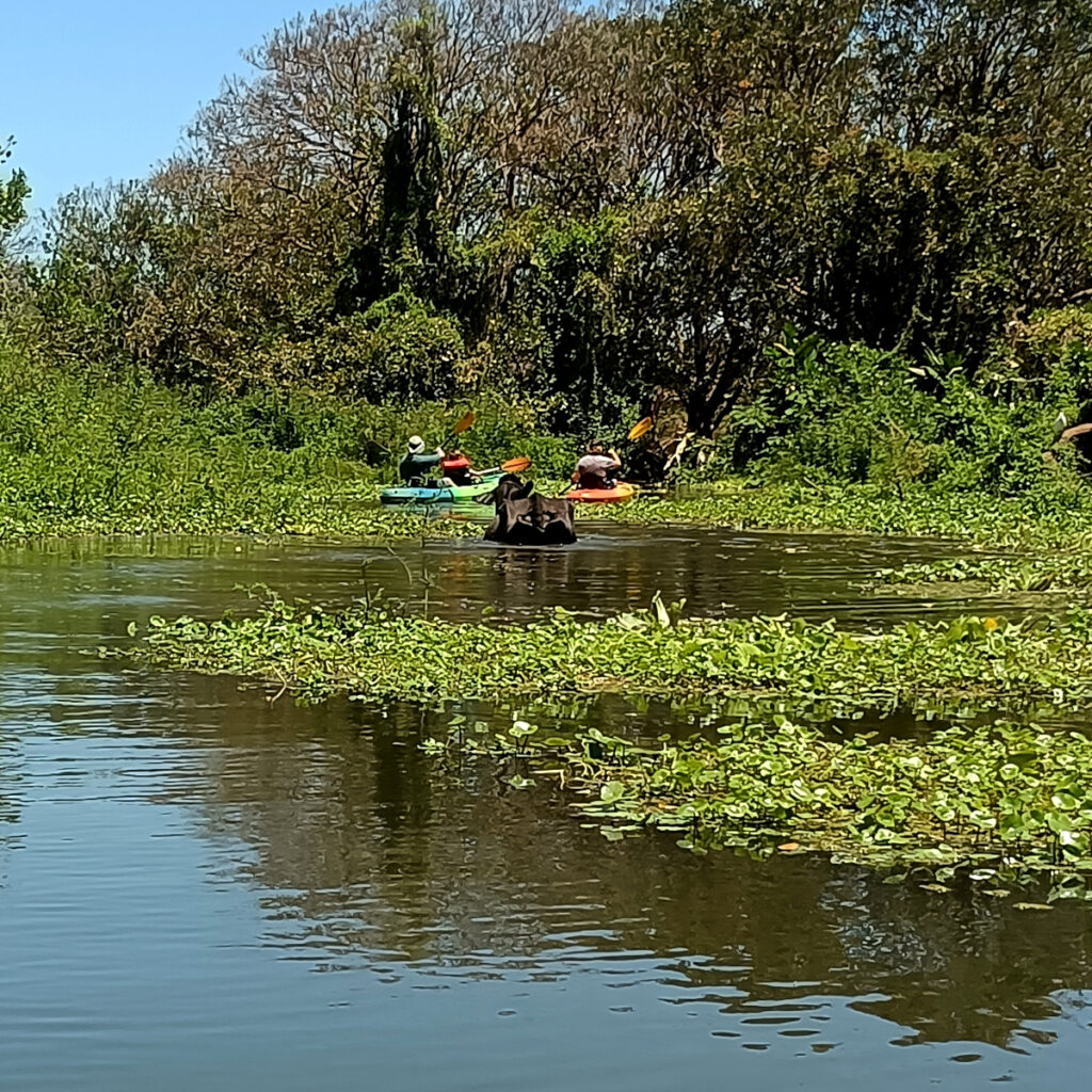 kayak on the nicaragua lake ometepe 1024