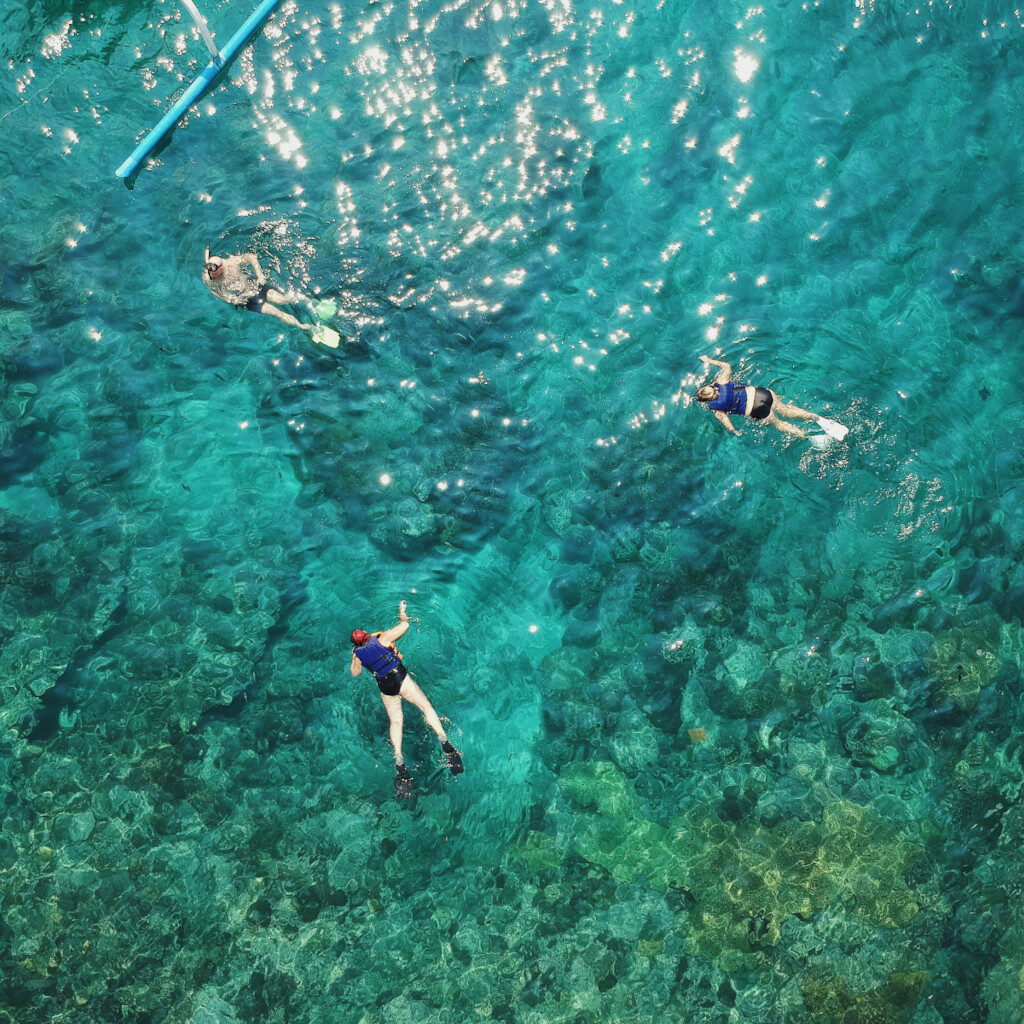 snorkeling bocas del toro panama 1024