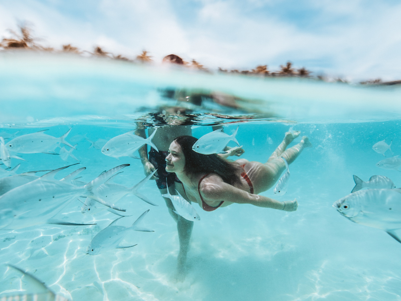 snorkeling on bocas del toro panama 16x12
