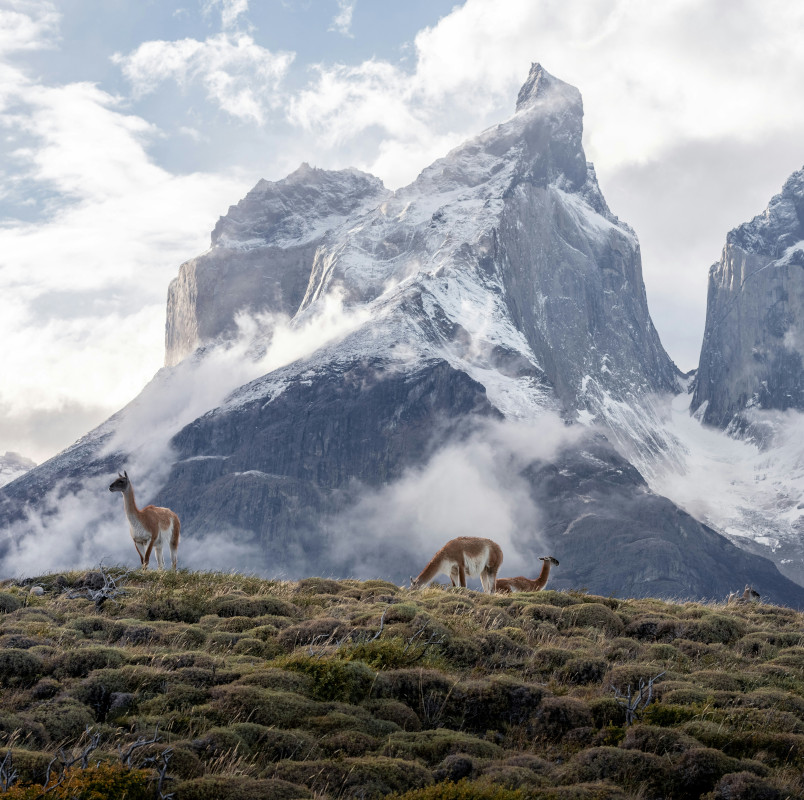 chile torres del paine patagonia tour