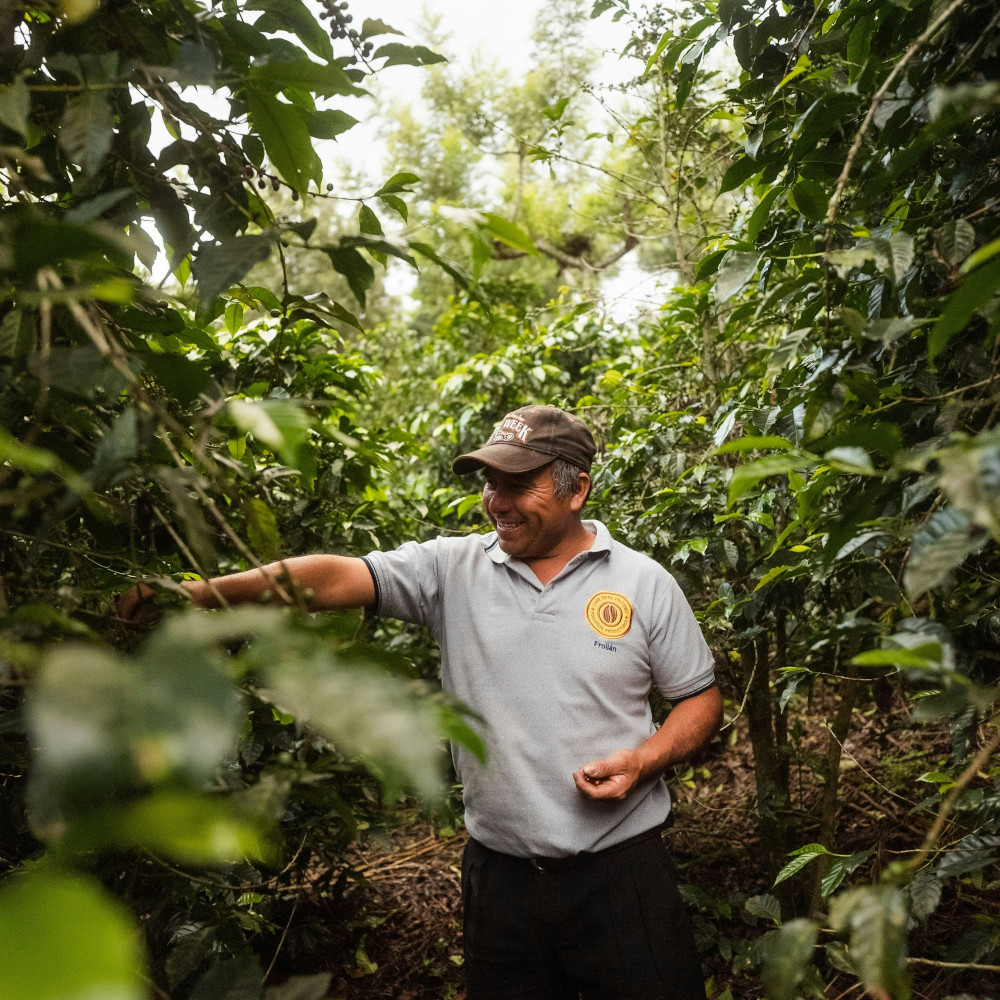 coffee tour costa rica panama