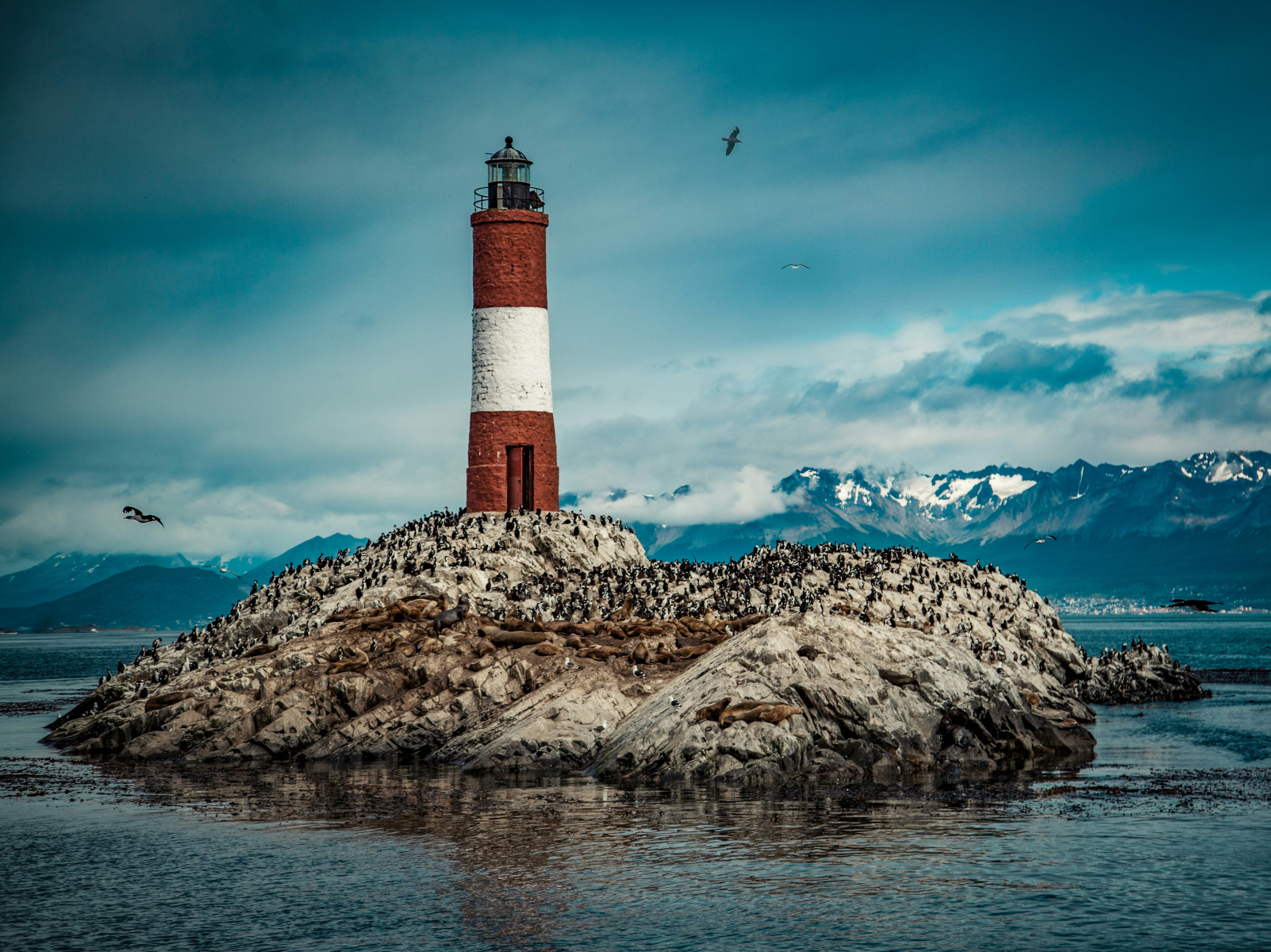 lighthouse ushuaia beagle canal patagonia argentina s