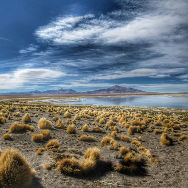 Bolivia atacama chile desert.jpg