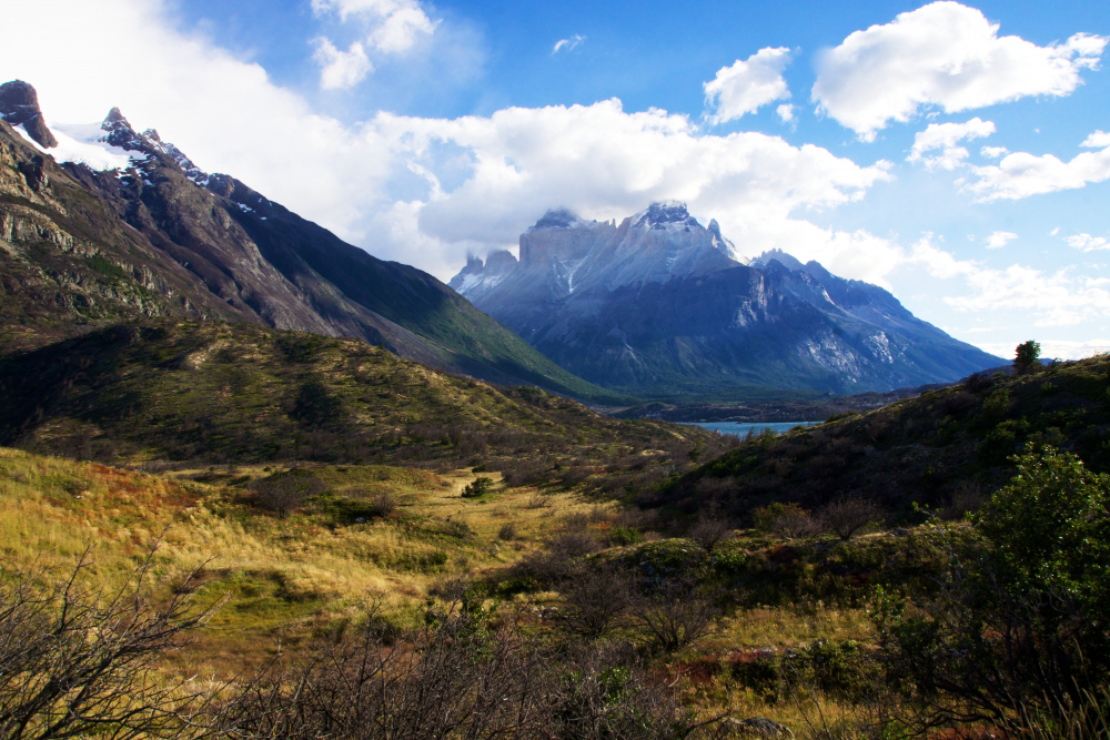 Patagonia park