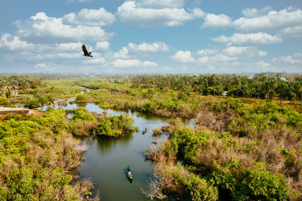 iberà del estero