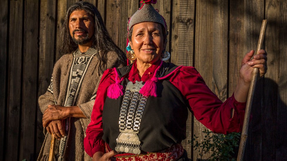 mapuche 2