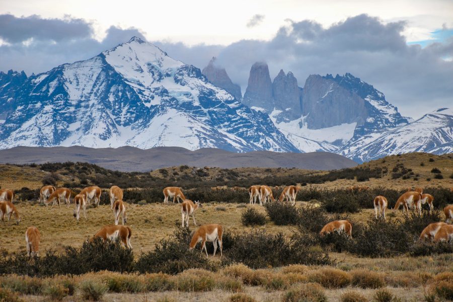 Patagonia chile tour torres del paine 1800x1200
