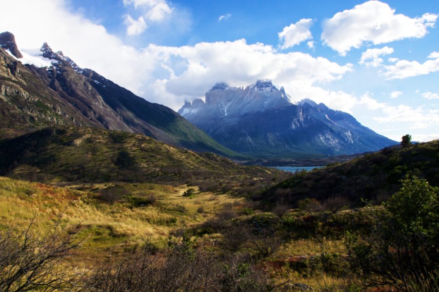 Patagonia park